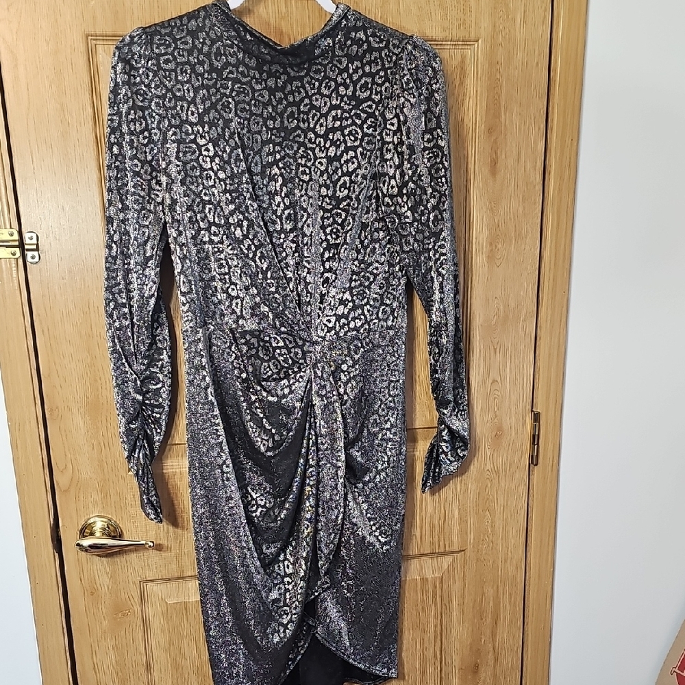 Chic Long Sleeve Leopard Print Dress